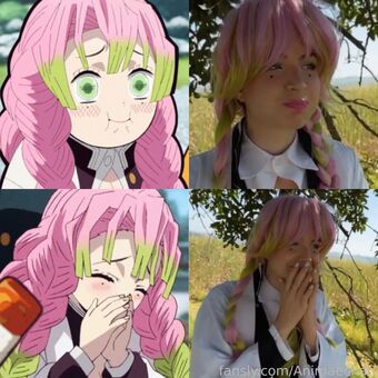 Animaechan