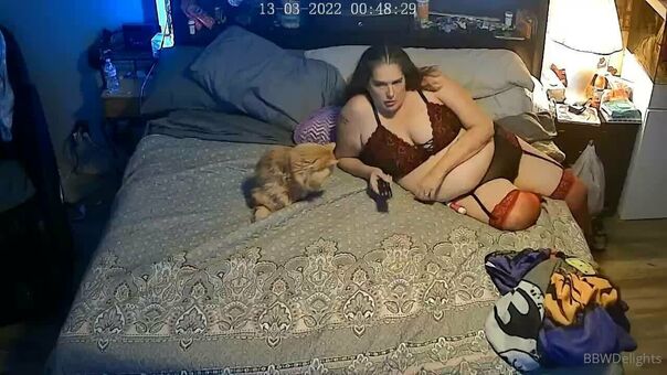 bbwdelights