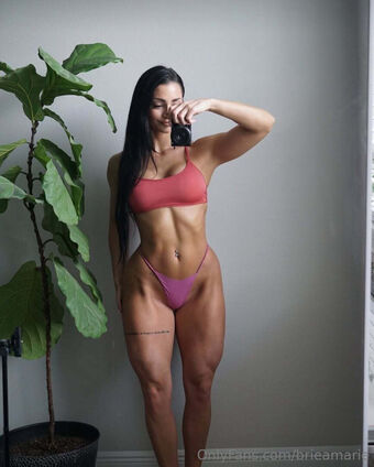 Bodybybriea