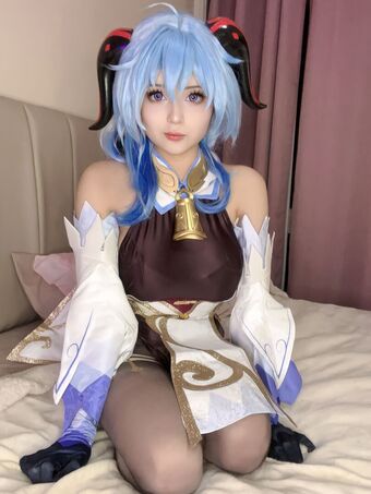 Catorisu