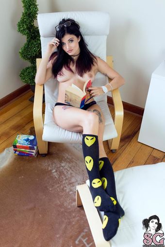 Dollyd