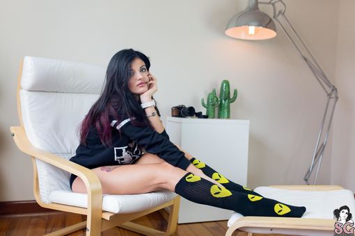 Dollyd
