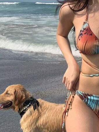 Ellen Tan Nahé Úniky OnlyFans Fotka 126