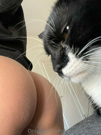 hollymoonvvip Nahé Úniky OnlyFans Fotka 3