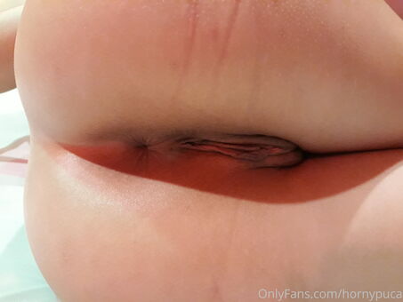 hornypuca