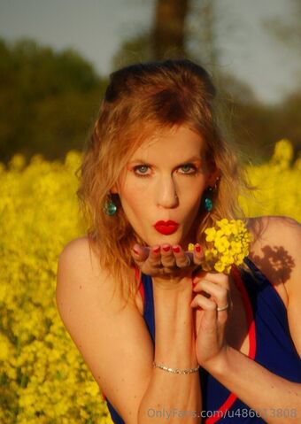 model_cladi