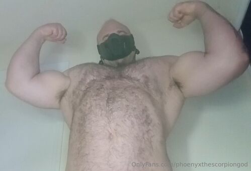 phoenyxthescorpiongod