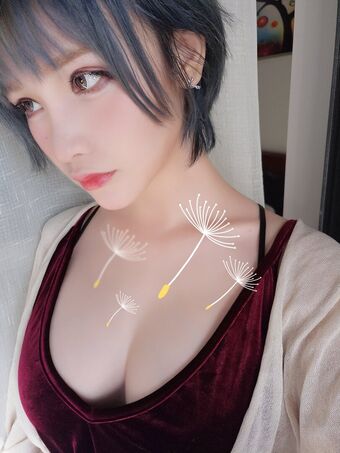 Rissoft