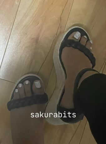 Sakurabits