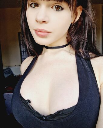 Wheybunny