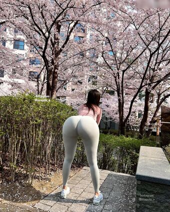 Xxapple